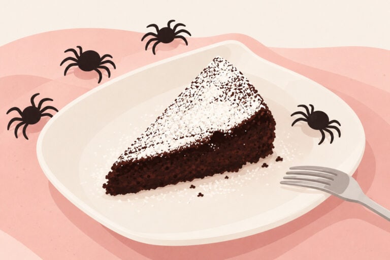 Illustration eines Stücks Schokoladenkuchen mit Puderzucker, umgeben von kleinen Spinnenmotiven und einer Gabel.