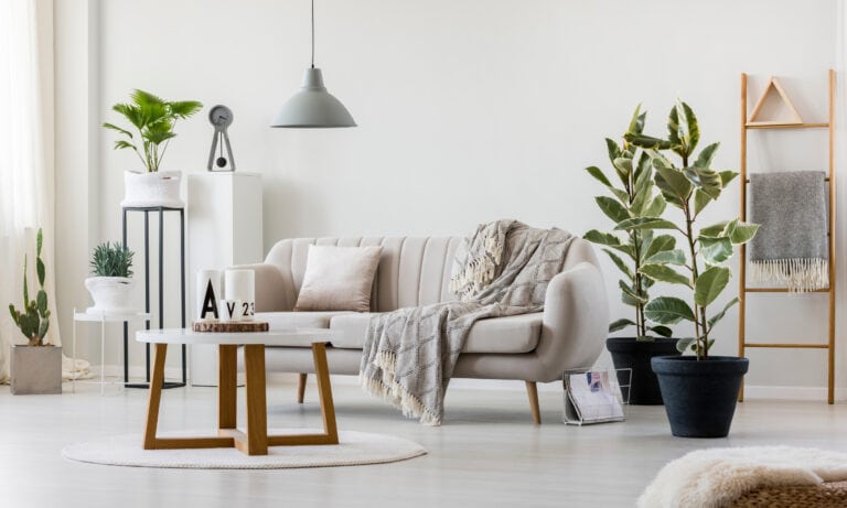 Schöne und nachhaltige Dekoartikel für das Wohnzimmer zum Verschenken